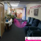 Business 2 image TULIP CARPET CLEANING PORT WASHINGTON Cetrified Mold Inspections in Port Washington NY