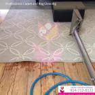 Business 5 image TULIP CARPET CLEANING PORT WASHINGTON Cetrified Mold Inspections in Port Washington NY