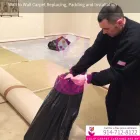 Business 6 image TULIP CARPET CLEANING PORT WASHINGTON Cetrified Mold Inspections in Port Washington NY