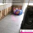 Business 12 image TULIP CARPET CLEANING PORT WASHINGTON Cetrified Mold Inspections in Port Washington NY