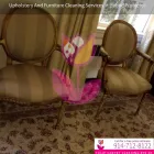 Business 13 image TULIP CARPET CLEANING PORT WASHINGTON Cetrified Mold Inspections in Port Washington NY