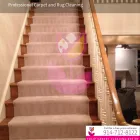 Business 18 image TULIP CARPET CLEANING PORT WASHINGTON Cetrified Mold Inspections in Port Washington NY