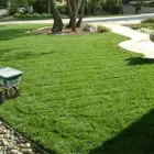 Business 5 image TURFPRO Weed Control Service in Sacramento CA