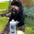 Business 3 image TURFRESH Lawn Maintenance in Las Vegas NV