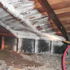 Business 5 image TYCECC TERMITE & PEST CONTROL CO. Termite Control in Los Angeles CA