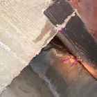 Business 1 image TYCECC TERMITE & PEST CONTROL CO. Termite Control in Los Angeles CA