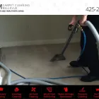 Business 4 image UCM CARPET CLEANING BELLEVUE House Cleaning in Bellevue WA