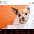 Business 5 image UCM CARPET CLEANING BELLEVUE House Cleaning in Bellevue WA