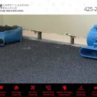 Business 6 image UCM CARPET CLEANING BELLEVUE House Cleaning in Bellevue WA