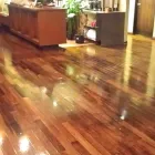 Business 5 image UCM CARPET CLEANING Oriental Rug Cleaning in Plano TX