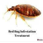Business 3 image ULTRA TECH PEST CONTROL Agricultural Services in Broken Arrow OK