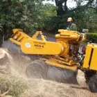 Business 2 image UNBEATABLE PRICED TREE SERVICE Tree Service in Bronx NY