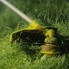 Business 4 image UNBEATABLE PRICED TREE SERVICE Tree Service in Bronx NY