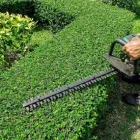 Business 5 image UNBEATABLE PRICED TREE SERVICE Tree Service in Bronx NY