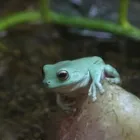 Business 3 image UNCLE BILL'S PET CENTERS (WEST INDIANAPOLIS) Pets & Animals in Indianapolis IN