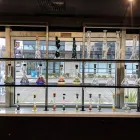 Business 1 image UNCLE IKE'S GLASS AND GOODS Vape Shops in Seattle WA