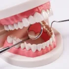 Business 7 image UNION DENTAL in Houston TX