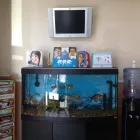 Business 7 image UNIQUE DENTAL CARE Veneer in Sunnyvale CA