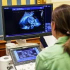 Business 1 image UNITED DIAGNOSTIC SERVICES, LLC Medical Diagnostic Imaging Center in Brooklyn NY