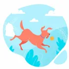 Business 1 image URBAN TAILZ Pet Sitting Services in Chicago IL