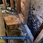 Business 2 image USA CLEAN MASTER | CARPET CLEANING CHICAGO Carpet & Rug Cleaners in Chicago IL