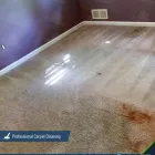 Business 1 image USA CLEAN MASTER | CARPET CLEANING DALLAS in Dallas TX