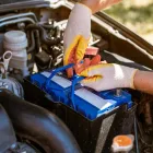 Business 1 image USED ENGINES INC Automotive Services in Houston TX