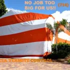 Business 6 image VALENCIA TERMITE CONTROL Termites in Anaheim CA