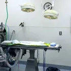 Business 1 image VCA BAY AREA ANIMAL HOSPITAL in Oakland CA