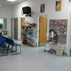 Business 2 image VCA BAY AREA ANIMAL HOSPITAL in Oakland CA
