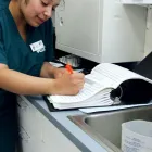 Business 3 image VCA BAY AREA ANIMAL HOSPITAL in Oakland CA