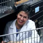 Business 5 image VCA BAY AREA ANIMAL HOSPITAL in Oakland CA