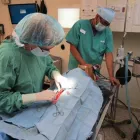 Business 4 image VCA MAIN STREET ANIMAL HOSPITAL Vets in in San Diego CA
