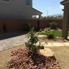 Business 3 image VEGAS DAY CUSTOM LANDSCAPING Tree Trimming Service in Las Vegas NV