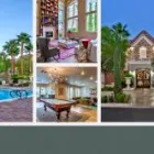 Business 1 image VENICIA APARTMENTS in Las Vegas NV