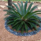 Business 2 image VENTURE ORGANIC LANDCARE Sod Supplier in Garden Ridge TX