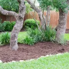 Business 3 image VENTURE ORGANIC LANDCARE Sod Supplier in Garden Ridge TX