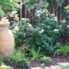 Business 5 image VENTURE ORGANIC LANDCARE Sod Supplier in Garden Ridge TX