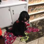 Business 4 image VIBE DENTAL OF HUNTSVILLE Tmj Specialist in Huntsville AL