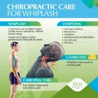 Business 3 image VIDA CHIROPRACTIC MIAMI II Physical Therapists in Miami FL