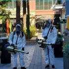 Business 1 image VIRUS GEEKS in San Francisco CA