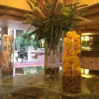 Business 14 image VISCOUNT SUITE HOTEL Travel & Tourism in Tucson AZ