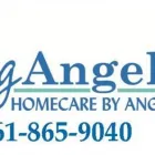Business 1 image VISITING ANGELS Home Health Care in Delray Beach FL