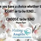Business 2 image VISITING ANGELS Home Health Care in Rock Hill SC