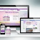 Business 2 image VISUALAB DESIGN Web Design & Development in Los Angeles CA