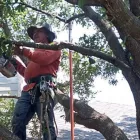 Business 2 image WALDEMAR LANDSCAPE & DESIGN Patio Installations in Austin TX