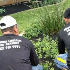 Business 9 image WALDEMAR LANDSCAPE & DESIGN Patio Installations in Austin TX