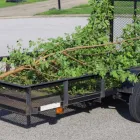 Business 4 image WALNUT CREEK TREE SERVICE Tree Stump Removal Services in Walnut Creek CA