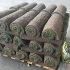 Business 2 image WASHINGTON SOD AND TURF Sod Supplier in Bellevue WA