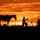 Business 1 image WASTERN ADVENTURE NOVEL Meat Markets in Tucson AZ